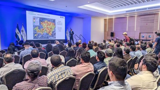 Workshop: Formación para el desarrollo